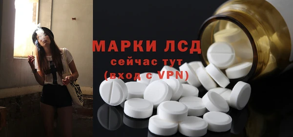 дживик Белокуриха