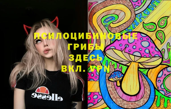 сатива Беломорск