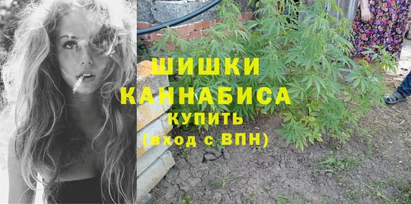 дживик Белокуриха