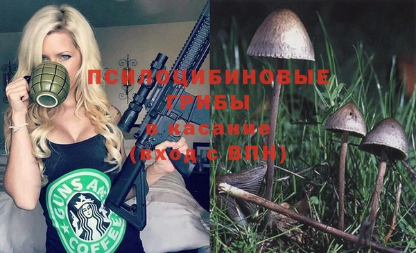 дживик Белокуриха
