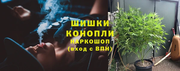 амф Ступино