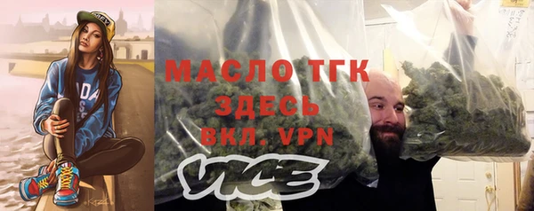 сатива Беломорск
