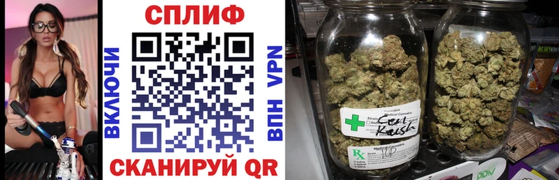 дарк нет наркотические препараты Городец Каннабис OG Kush наркошоп